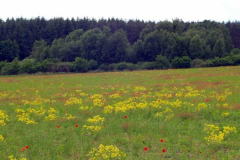 waren-mai-05-091