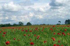 waren-mai-05-105