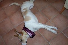 Fynn-Luca-094