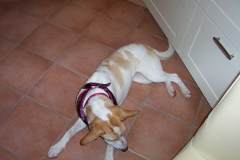Fynn-Luca-095