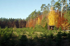Hersbst-im-Nationalpark