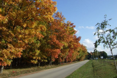 Mueritz-Oktober-2008-001