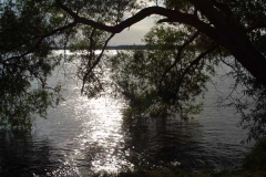 P1010048