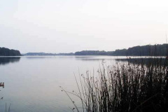 P8230073
