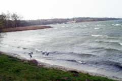 Waren-11_2004003