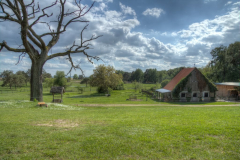 am Müritzhof