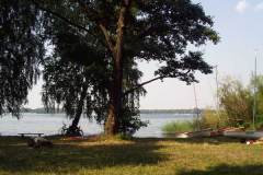 P8230059
