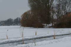 Bilder-von-Dieter-2008-November-074