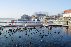 Hafen-vereist