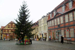 Weihnachtbaum