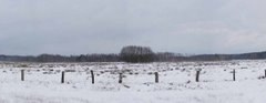 panorama1